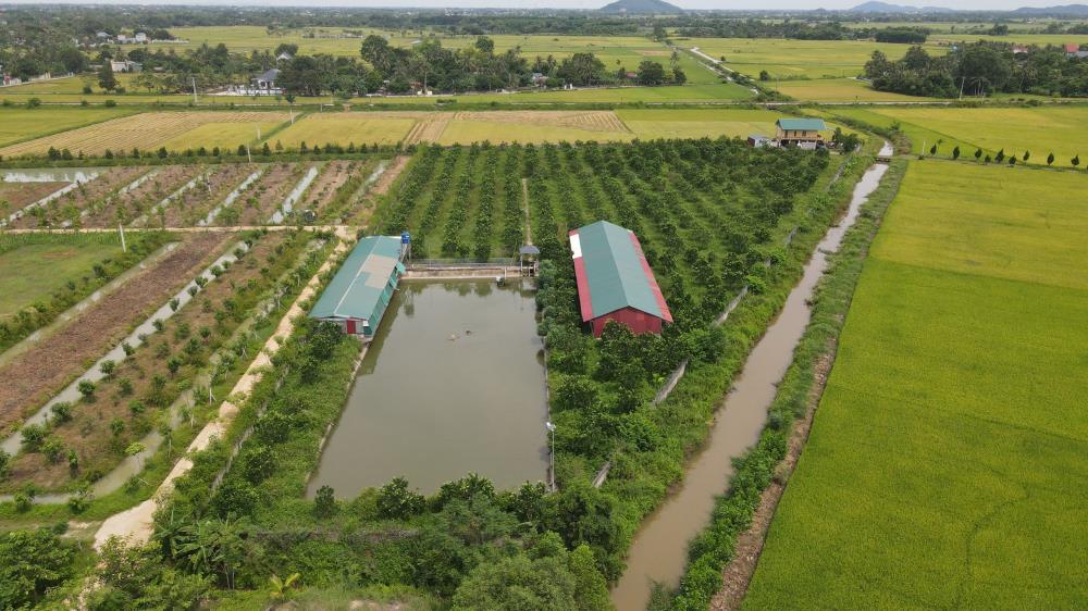 Chính chủ cần bán gấp trang trại lợn tại Nông Cống, Thanh Hoá662391