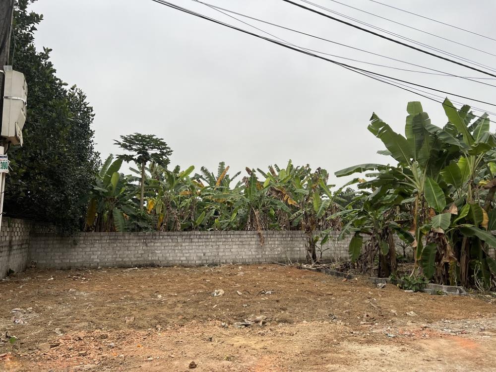 Chính chủ cần bán lô đất tại xã Tân Xã , Thạch Thất , Hà Nội1213795