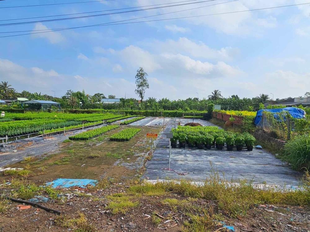 Chính Chủ Bán Nhanh Lô Đất Tại Đường Nguyễn Chí Thanh, Xã Tân Quy Tây, TP Sa Đéc, Đồng Tháp1930549