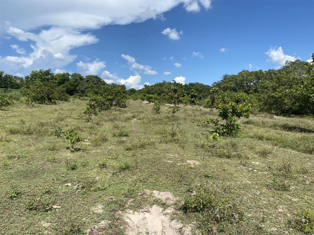 Cần bán  lô  đất 3  mẫu tại  huyện La Pa, tỉnh Gia Lai1216264