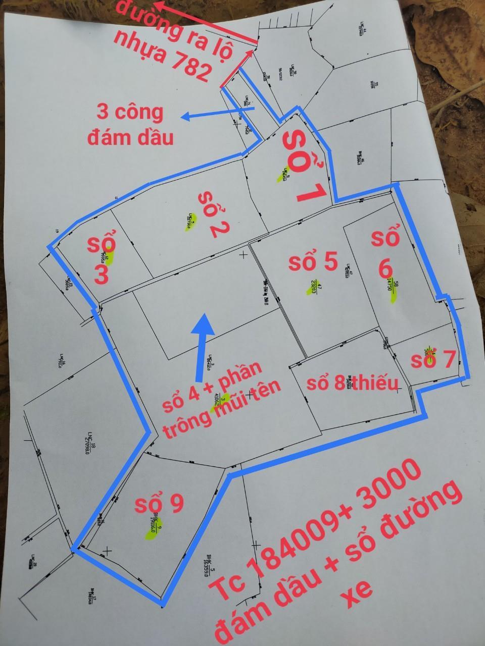 Cần bán lô đất tổng diện tích 18 mẫu  tại - trảng bàng Tây Ninh TL1305181
