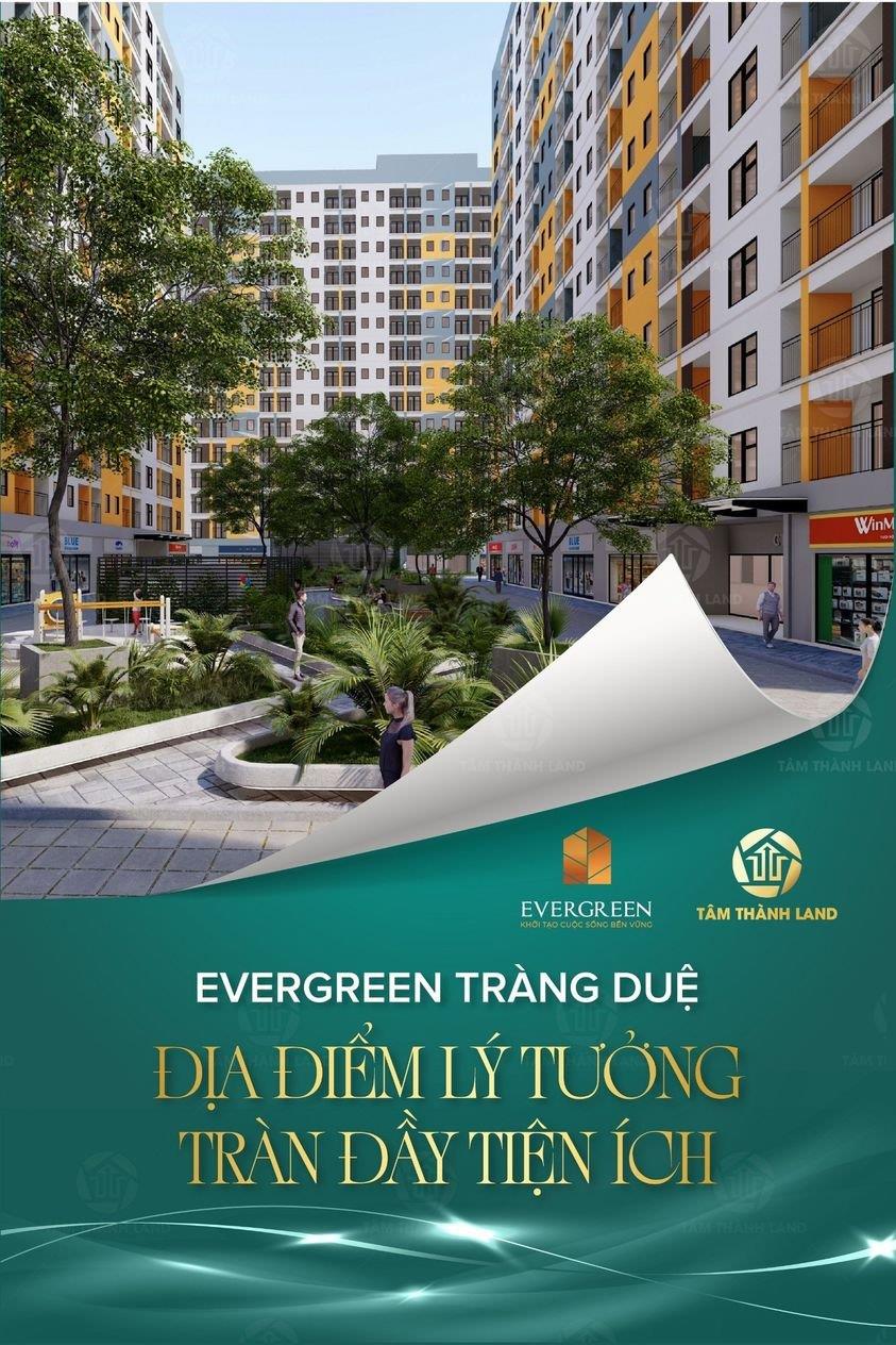 Dự án Evergreen Tràng Duệ có vị trí nằm tại trung tâm khu đô thị KĐT Seoul Ecohome Tràng Duệ, Hải Phòng1919243