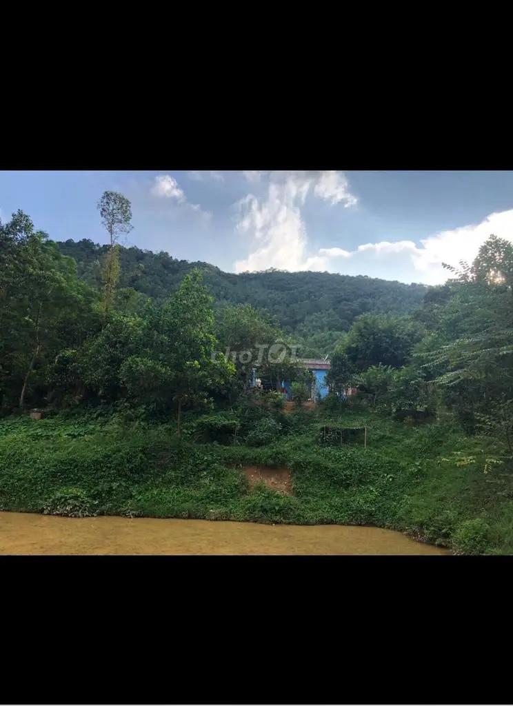 Cần bán 25 ha đất rừng sản xuất tại huyện Cẩm Khê, Tỉnh Phú Thọ.576964