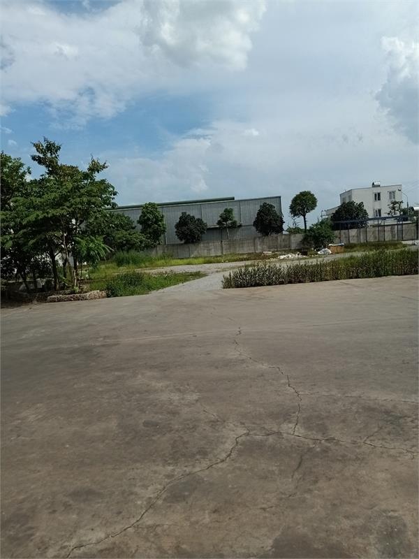 Bán 1,5ha đất kho nhà xưởng 50 năm tại Lai Cách, Cẩm Giàng, Tỉnh Hải Dương1034428