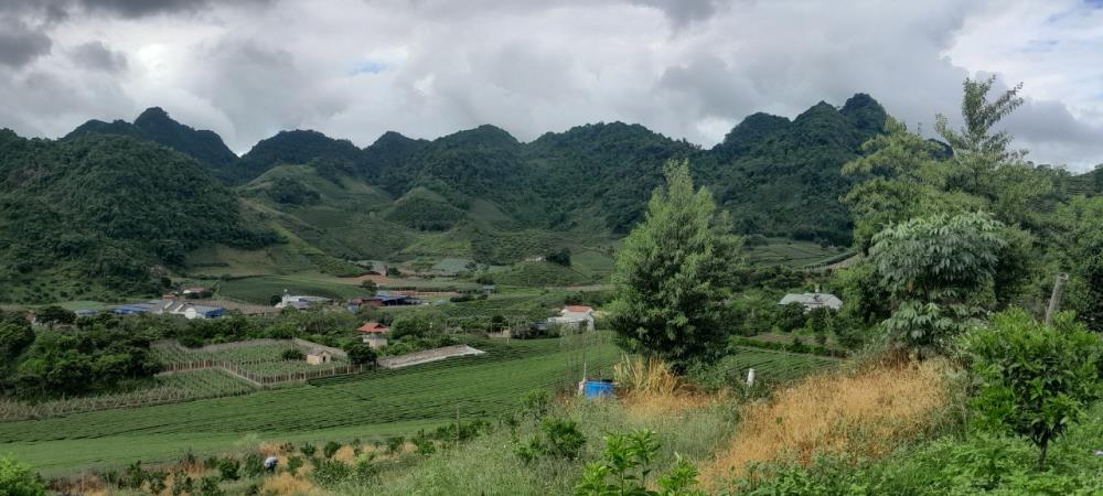 Cần bán lô đất đẹp tại Thị Trấn NT Mộc Châu,Huyện Mộc Châu,Tỉnh Sơn La706446