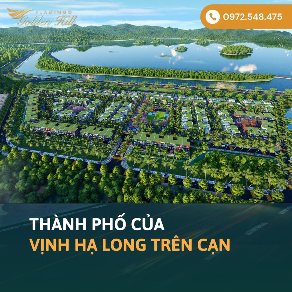 Mở bán BĐS nghỉ dưỡng Flamingo Hà Nam gần Tam Chúc và sân golf Kim Bảng1356243