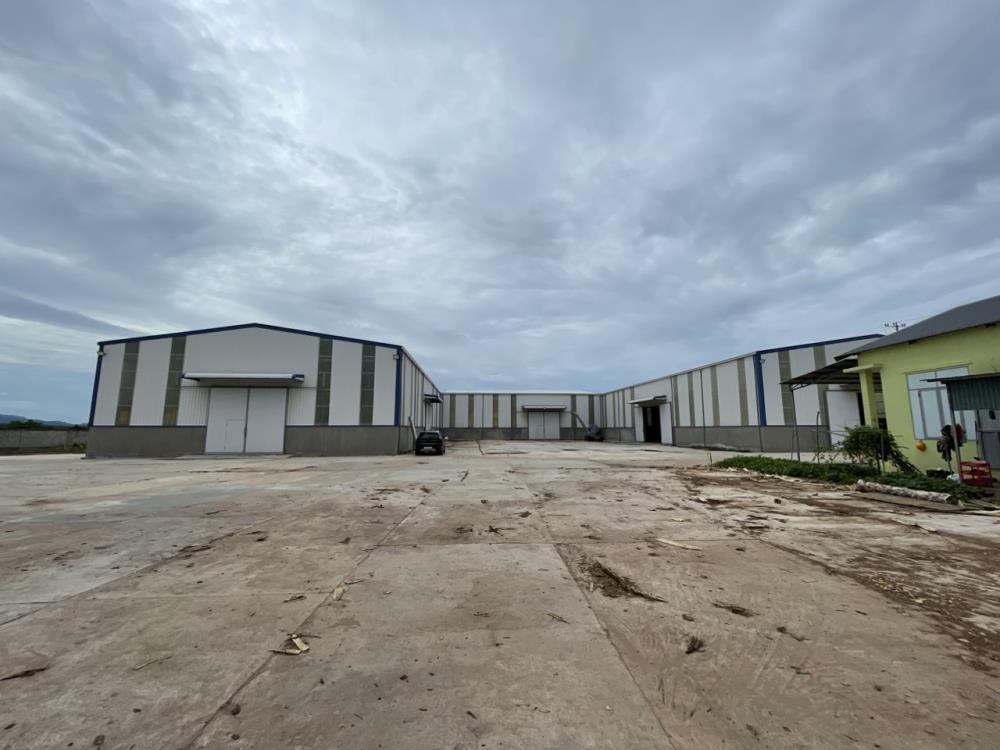 Cần chuyển nhượng hoặc liên kết đầu tư Công ty có Nhà máy SX viên nén gỗ năng lượng trong KCN Bắc Đồng Hới, tỉnh Quảng Bình.845959
