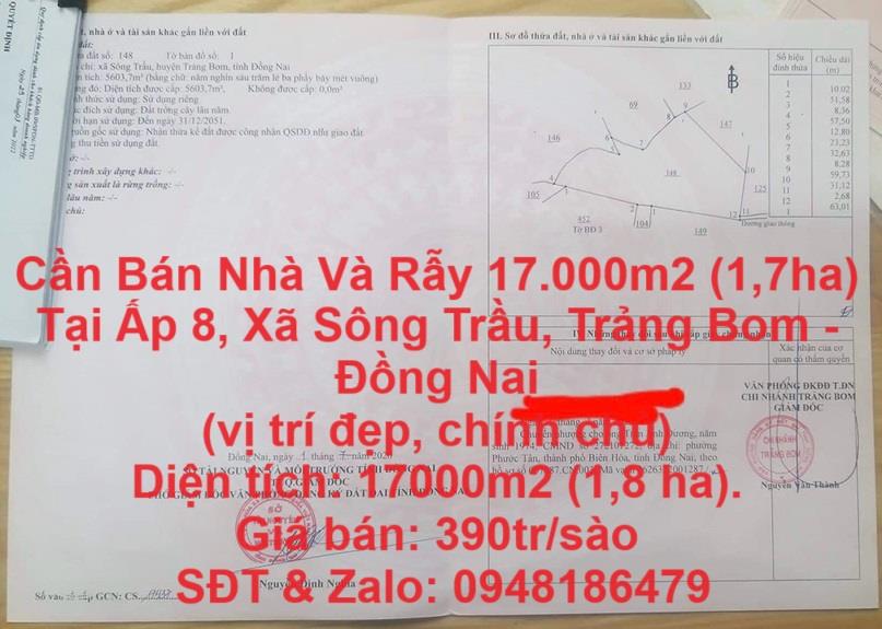 Cần Bán Nhà Và Rẫy 17.000m2 (1,7ha) Tại Ấp 8, Xã Sông Trầu, Trảng Bom - Đồng Nai1758059