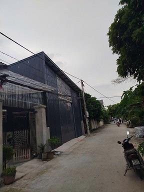 Chính chủ cần cho thuê kho xưởng rộng 200m,mái cao 6m2030210