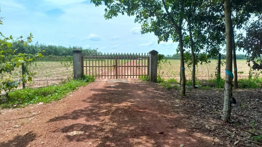 Cần bán lô đất tổng diện tích 18 mẫu  tại - trảng bàng Tây Ninh TL1305182