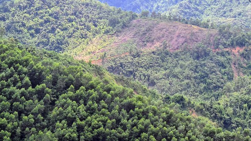 Chuyển nhượng 1700ha đất rừng kết hợp vùng nguyên liệu sx tại Hòa Bình.969841