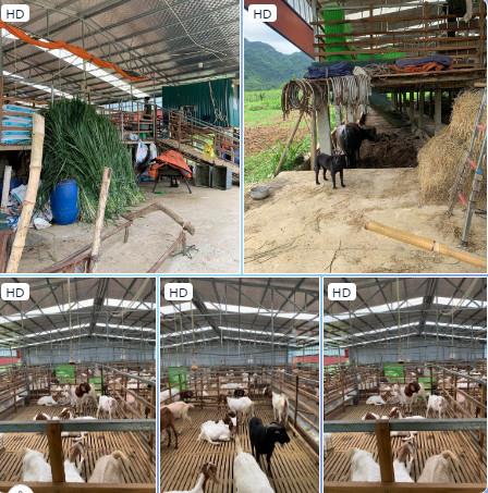 Chính chủ cần bán trang trại nhỏ xinh nằm tại Xã Kỳ Phú - Nho Quan - Ninh Bình.168463