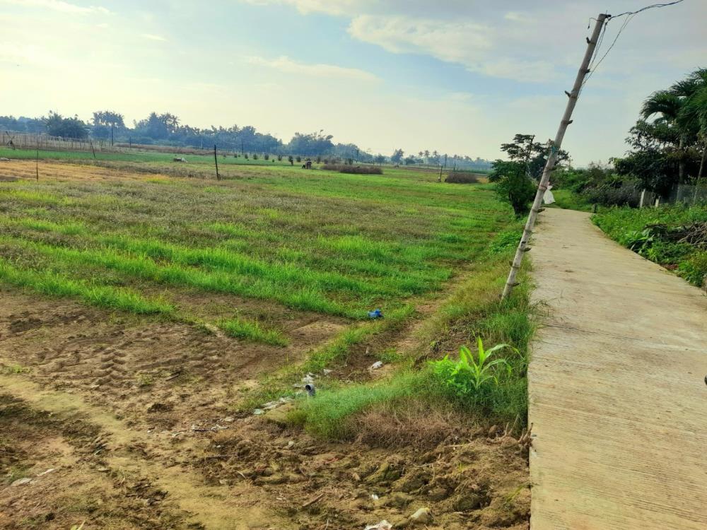 Hơn 1 sào đất (560m2) BHK full hồng Quy hoạch đất ở Tp.Quảng Ngãi chỉ 150 triệu996504
