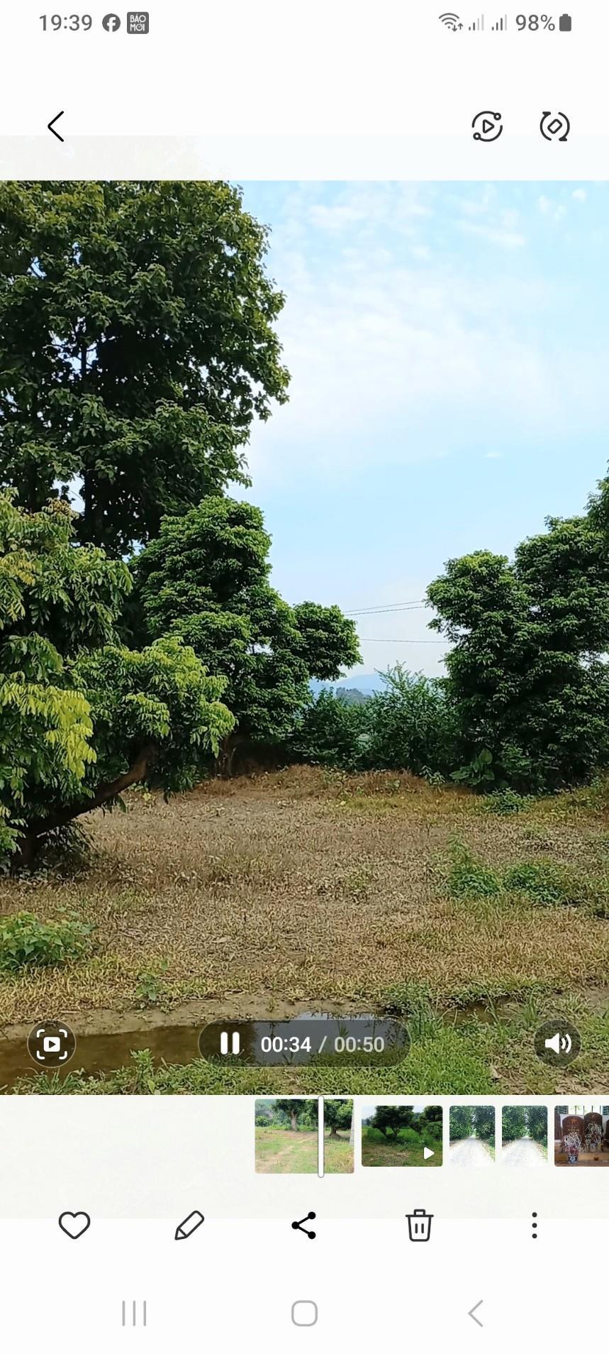 CHÍNH CHỦ Cần Bán 2HA Đất CLN Cho Thu Hoạch Tại Xóm Tân Thành, xã An Khang, TP Tuyên Quang1917210