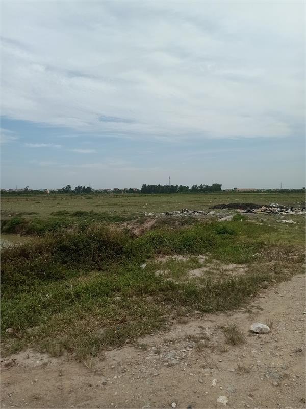 Bán 50ha đất kho nhà xưởng 50 năm tại Huyện Triệu Sơn, Tỉnh Thanh Hóa372487