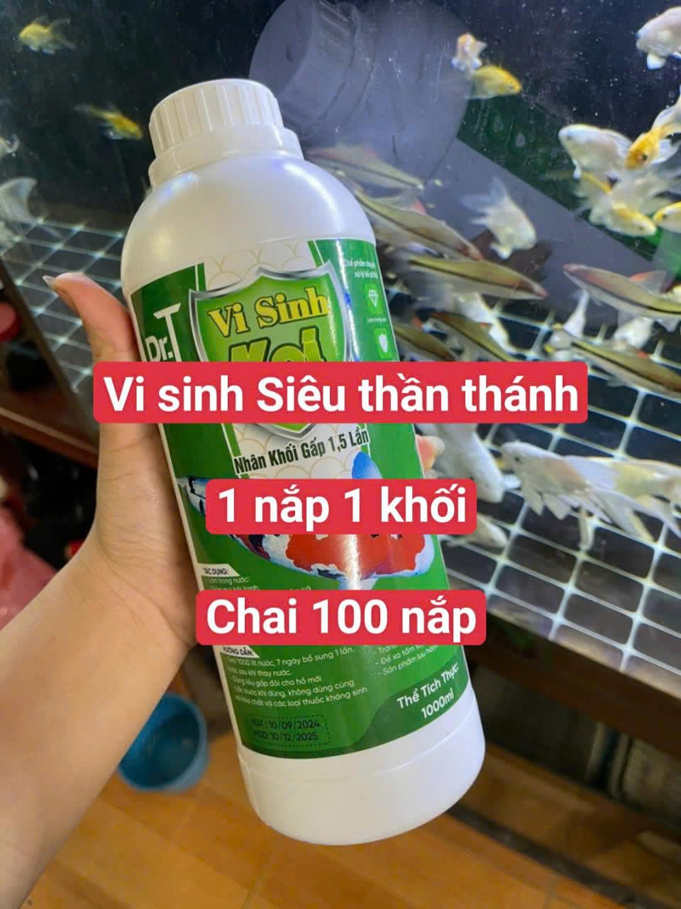 Vi sinh cao cấp cho hồ Koi – Lựa chọn hoàn hảo2044544