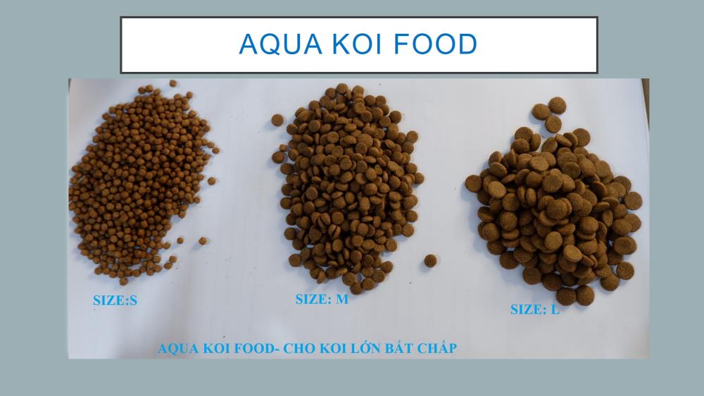 CÁM AQUA KOI FOOD PLUS1993247