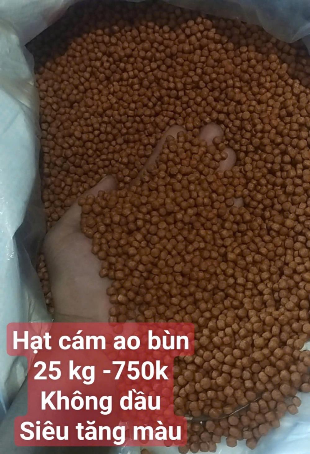 CÁM CÁ KOI BƠM SIZE AO BÙN 25KG2016983