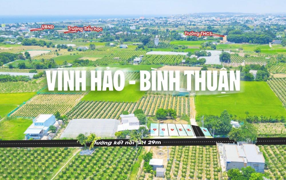 Đất ven biển đẹp nhất Bình Thuận giá đầu tư năm 20241263940