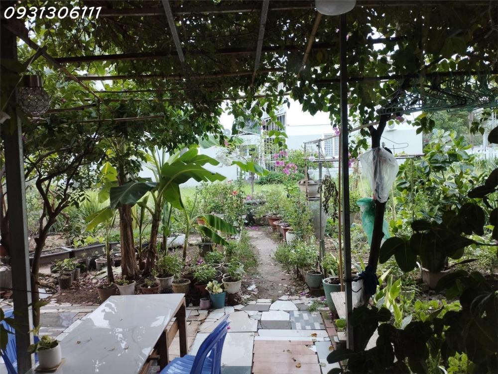 Biệt thự vườn Ehome 4 Vĩnh Phú Thuận An 84m Chỉ hơn 4 tỷ hỗ trợ vay312803