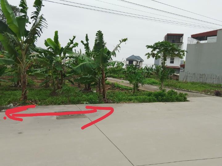 Chính chủ cần bán lô đất ở Vĩnh Hồng, Bình Giang, Hải Dương1346918