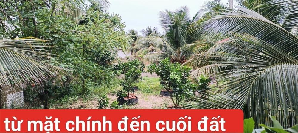 Chính Chủ CẦN BÁN NHANH LÔ ĐẤT Tại Đường Huyện 86C, Xã Tân Mỹ Chánh, Tp Mỹ Tho, Tiền Giang1878775