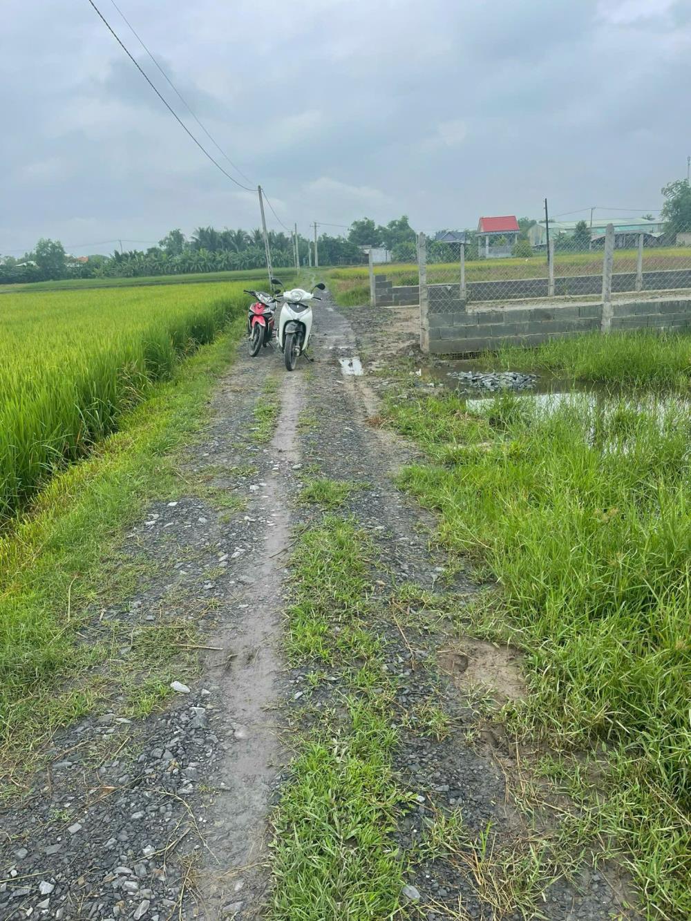 Bán đất vườn liền kề khu công nghiệp Huỳnh Mai, Thuộc Ấp Rừng Sến, Xã Mỹ Hạnh Bắc Huyện Đức Hoà Tỉnh Long An2012049