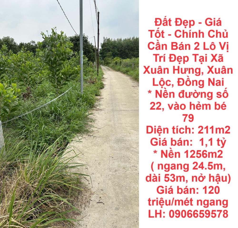 Đất Đẹp - Giá Tốt - Chính Chủ Cần Bán 2 Lô Vị Trí Đẹp Tại Xã Xuân Hưng, Xuân Lộc, Đồng Nai1954763