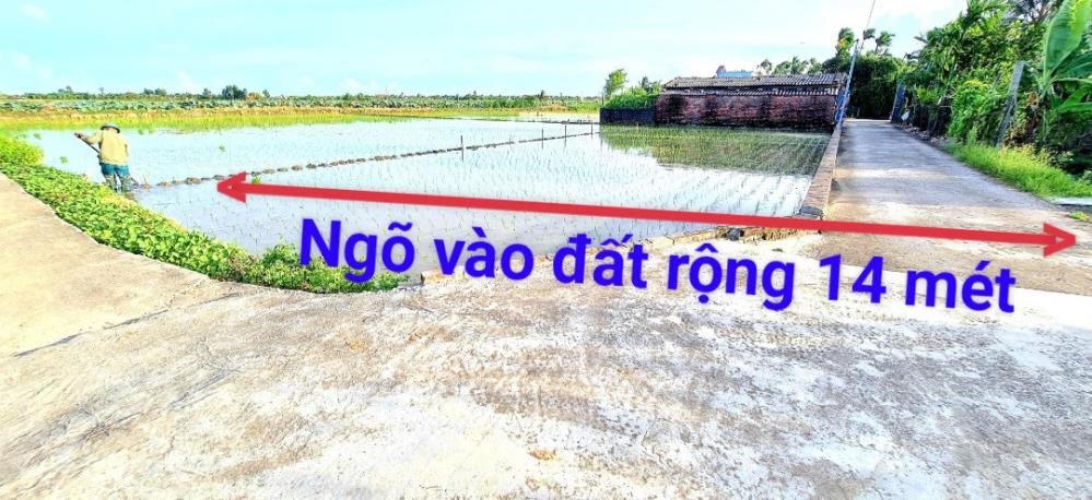 CHÍNH CHỦ CẦN BÁN NHÀ DIỆN TÍCH GẦN 2400M2 CÓ SẴN NHÀ- VƯỜN - AO TẠI VĨNH BẢO - HẢI PHÒNG1774393