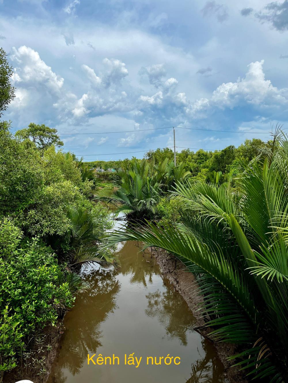 BÁN ĐẤT NUÔI TÔM , THẢ LANG TẠI DUYÊN HẢI, TRÀ VINH1688268