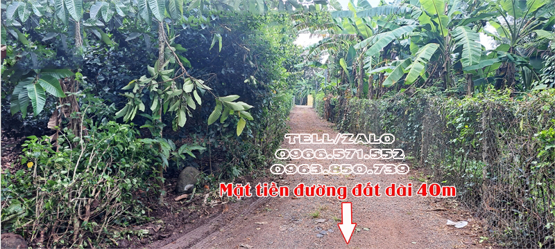 Cần bán đất vườn 2 mặt tiền 27m x40m ||Bảo Quang- Long Khánh|| Giá chỉ 2 tỷ 3.11025