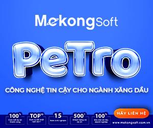 Phần mềm quản lý xăng dầu xuất hóa đơn tự động MekongSoft Petro 3001B1161434