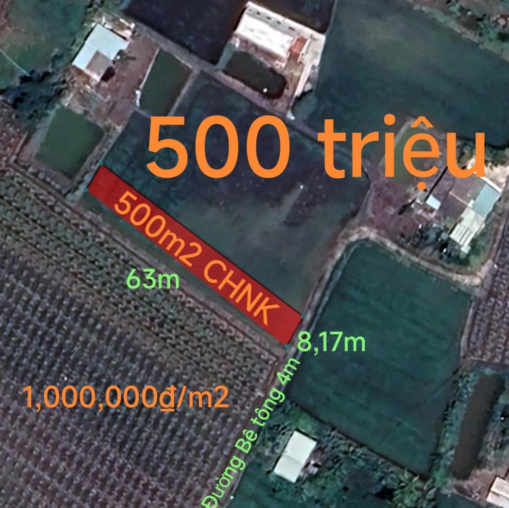 Bán gấp lô đất cây hàng năm khác xã Đức Tân giá 500 triệu( giá rẻ thấp nhất thị trường)1367241