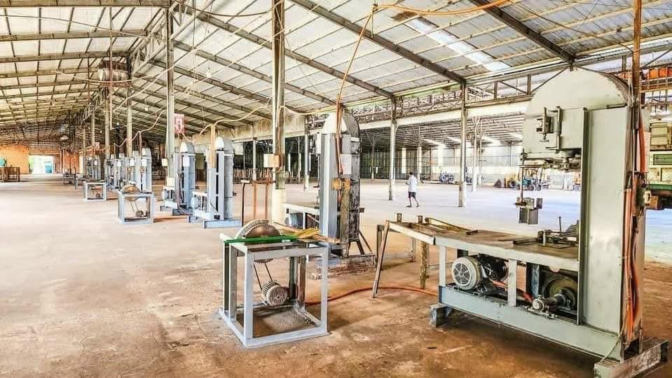 Cho thuê xưởng cưa xẻ gỗ tại Tân Thành, Đồng Xoài, Bình Phước giá siêu rẻ chỉ 180tr cho 8000m21514795