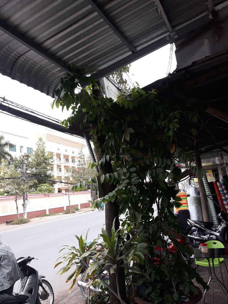 Cho thuê nhà lầu đường Lê Hồng Phong thuận tiện kinh doanh379660