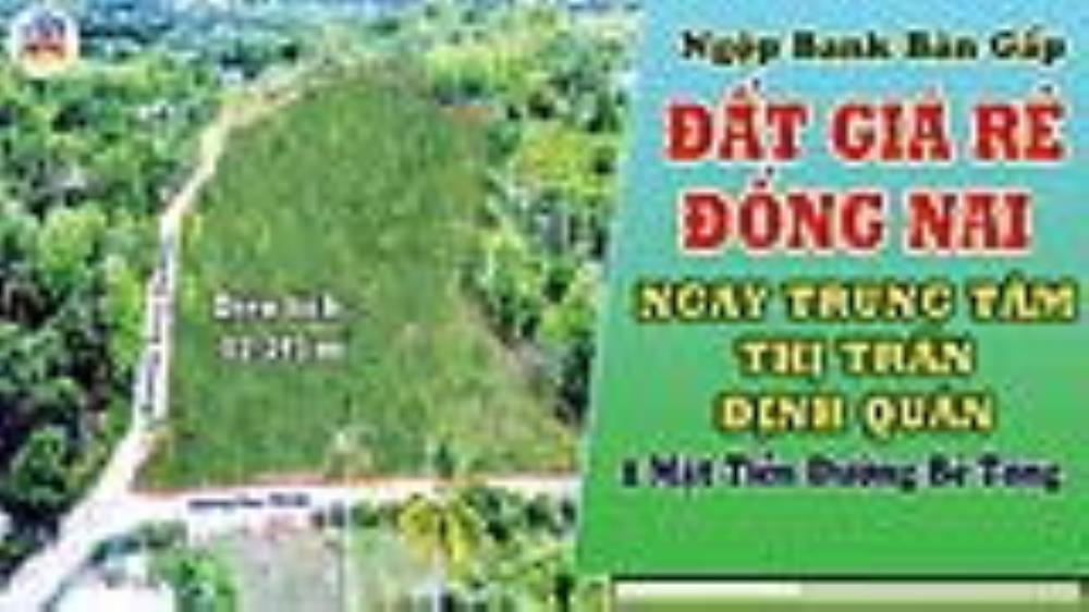 Cần bán 11.3450 m² đất vườn, 2 mặt tiền, cách Ql20 300m, Ngọc Định, ĐQ, ĐN326754