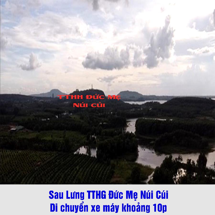 Cần bán 2 căn Nhà Nuôi ChimYến || Định Quán, Đồng Nai || Ngay cạnh hồ Trị An  273017