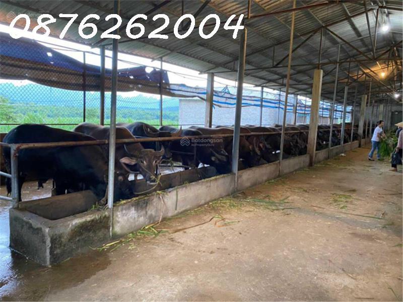 Chính chủ cần bán đất trang trại, khu nghỉ dưỡng 70.000m2 tại Lạc Thủy, Hòa Bình - Giá 1X tỷ708233
