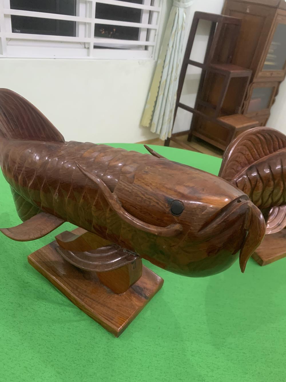 Bán cặp cá rồng,gỗ nhóm 1,dài 70cm,nặng 6kg/con1365371