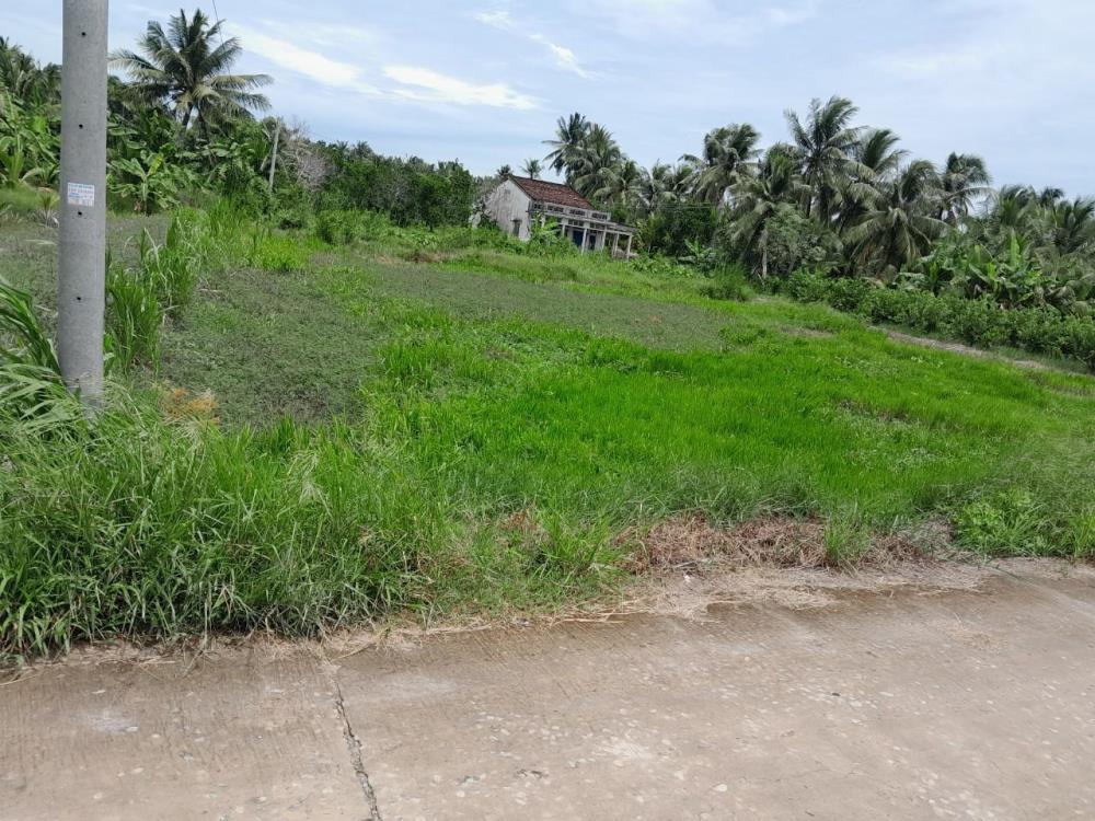 Cần Bán Nhanh Lô Đất Tiềm năng- Giá Tốt tại huyện Tam Bình, tỉnh Vĩnh Long643931