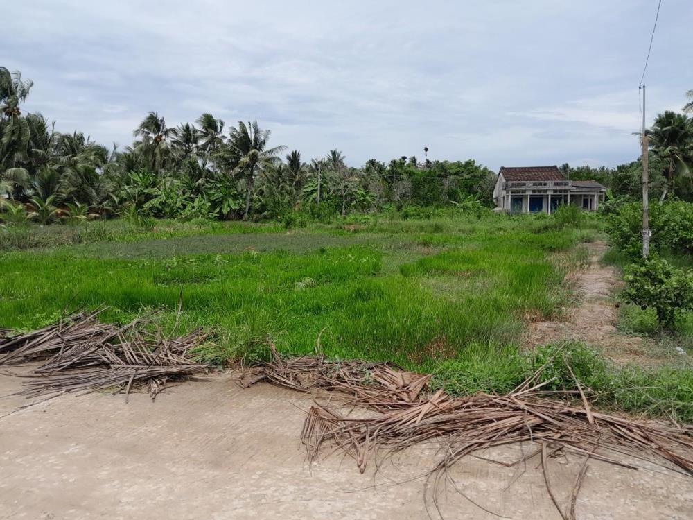 Cần Bán Nhanh Lô Đất Tiềm năng- Giá Tốt tại huyện Tam Bình, tỉnh Vĩnh Long643932