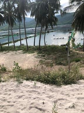 Bán lô Đất full 186m2 thổ view hồ tại xã Xuân Hải, Sông Cầu, Phú Yên1264557