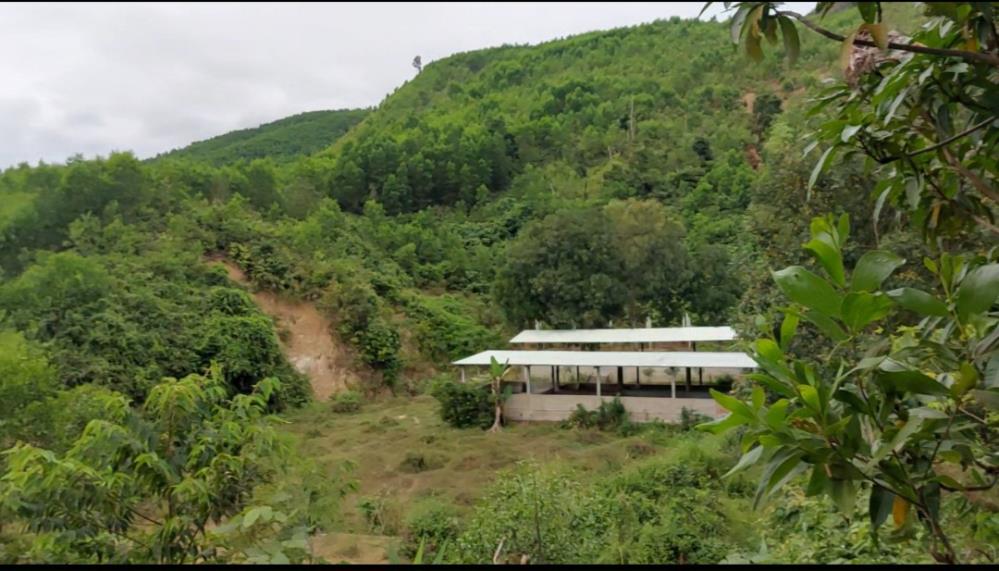 ♥ Trang trại nằm trong Khu Du Lịch Sinh Thái, 90.000m2, cách ĐN 30Km, 6.5 tỷ1296301