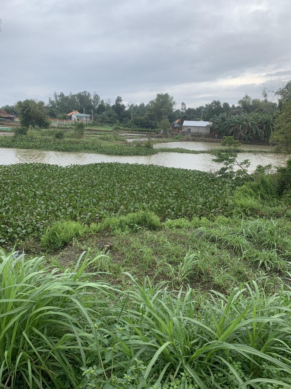 Bán đất Vườn 915m2, có 300m thổ cư, View Sông Tịnh Hoà - Tp.Quảng Ngãi chỉ 1 triệu/m21049471