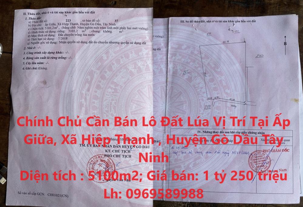 Chính Chủ Cần Bán Lô Đất Lúa Vị Trí Tại Huyện Gò Dầu, Tỉnh Tây Ninh1471672