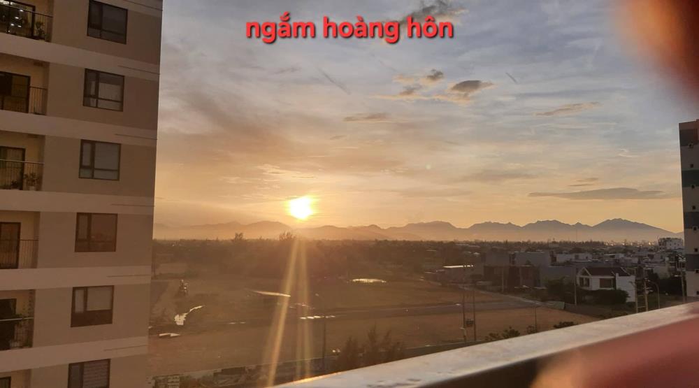 𝐅𝐏𝐓 𝐏𝐋𝐀𝐙𝐀 𝟏 - Căn Hộ 2PN View Hồ Bơi Mát Mẻ Cả Ngày Có Sẵn Nội Thất Giá Chỉ 1.6x tỷ1398722