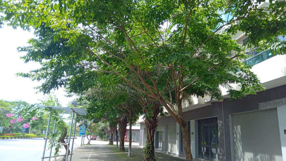 Góc chuyển nhượng shophouse  120m21802140