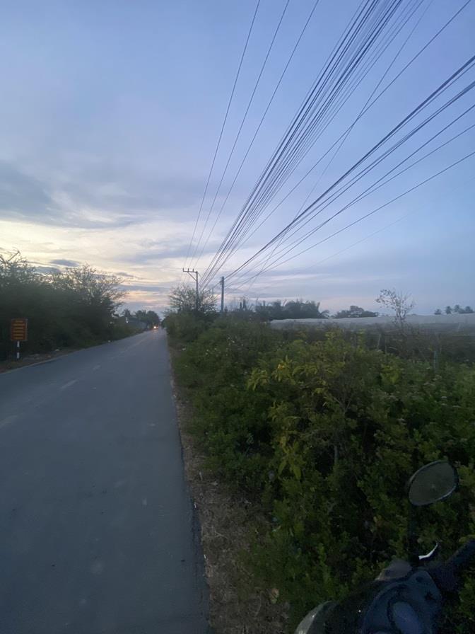 ĐẤT CHÍNH CHỦ Cần bán nhanh lô đất  mặt tiền tỉnh lộ 708 tại huyện Ninh Phước, tỉnh Ninh Thuận1526347
