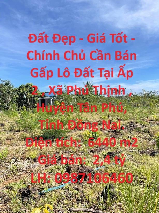 Đất Đẹp - Giá Tốt - Chính Chủ Cần Bán Gấp Lô Đất Tại Phú Thịnh , Tân Phú ,Đồng Nai.1442588