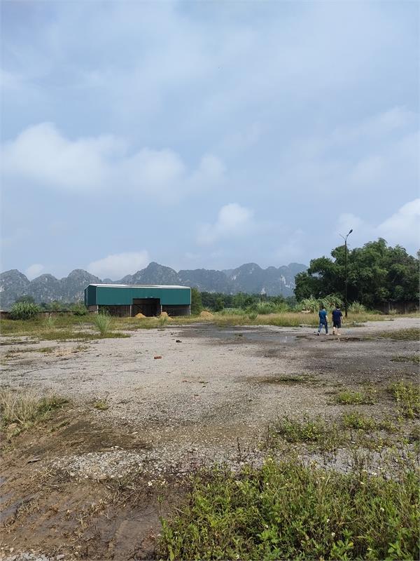 Bán 15ha đất kho nhà xưởng 50 năm tại Huyện Cẩm Giàng, Tỉnh Hải Dương368381